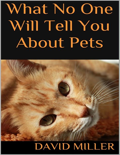 What No One Will Tell You About Pets, David Leslie Miller