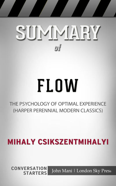 Summary of Flow, Paul Mani