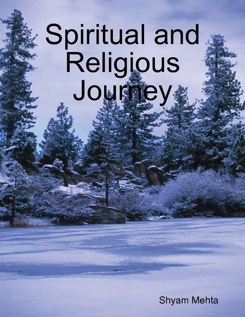 Spiritual and Religious Journey, Shyam Mehta
