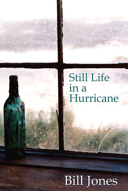 Stil Life in a Hurricane, Bill Jones