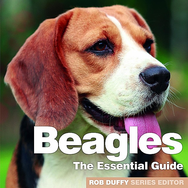 Beagles, 