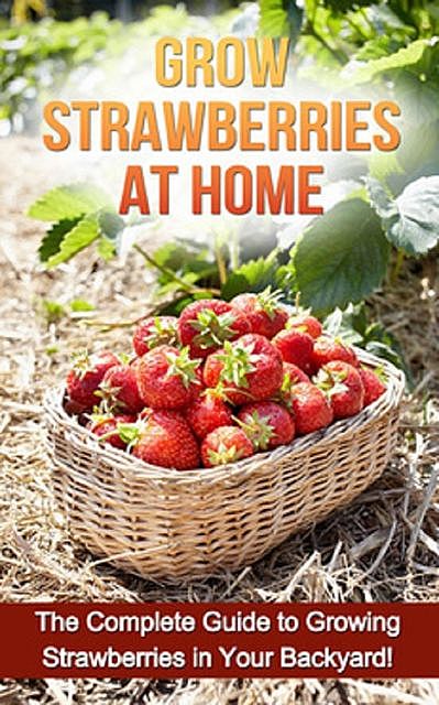 Grow Strawberries at Home, Steve Ryan