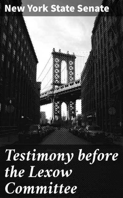 Testimony before the Lexow Committee, New York State Senate