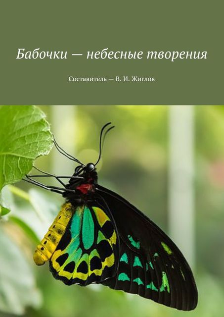 Бабочки — небесные творения, Валерий Жиглов
