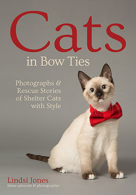 Cats in Bow Ties, Lindsi Jones