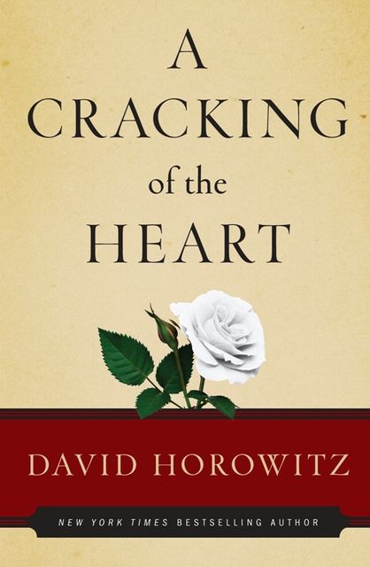 A Cracking of the Heart, David Horowitz