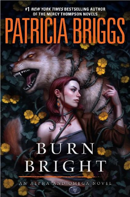 Burn Bright, Patricia Briggs