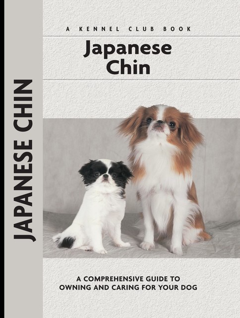 Japanese Chin, Juliette Cunliffe