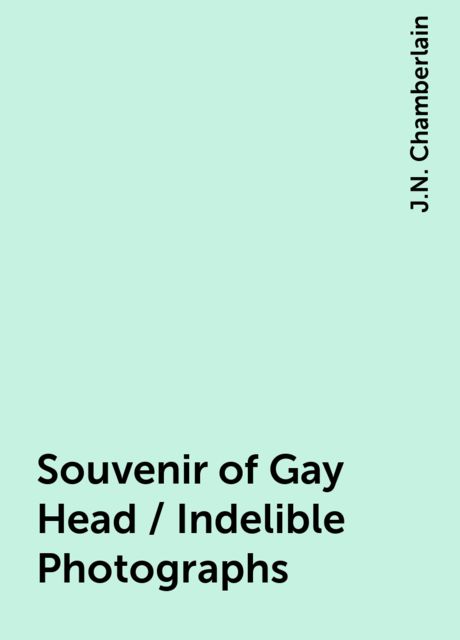 Souvenir of Gay Head / Indelible Photographs, J.N. Chamberlain
