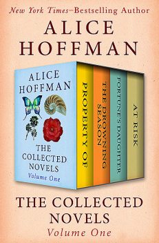 The Collected Novels Volume One, Alice Hoffman