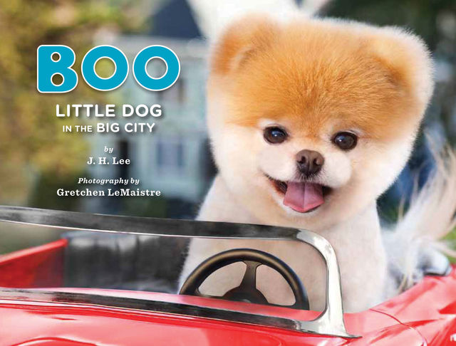 Boo: Little Dog in the Big City, J.H. Lee