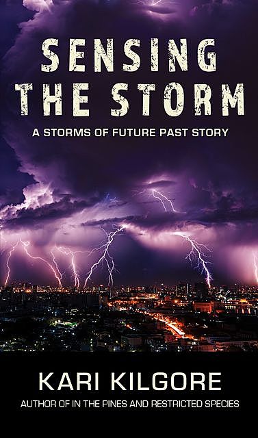 Sensing the Storm, Kari Kilgore