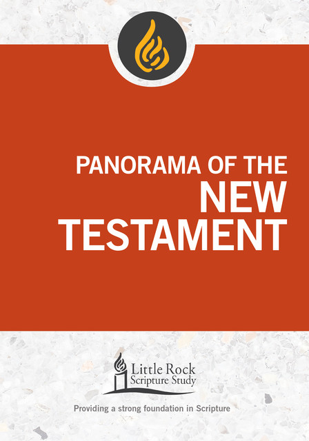 Panorama of the New Testament, Stephen Binz