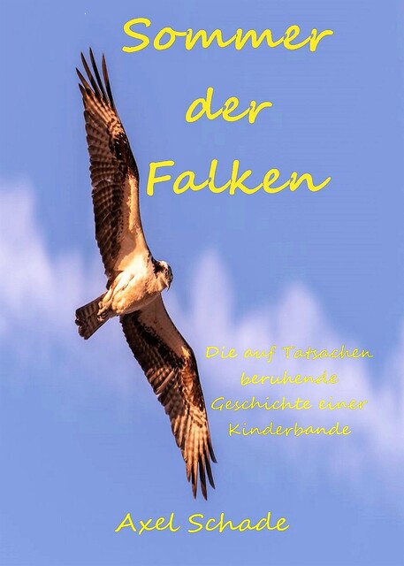 Sommer der Falken, Axel Schade