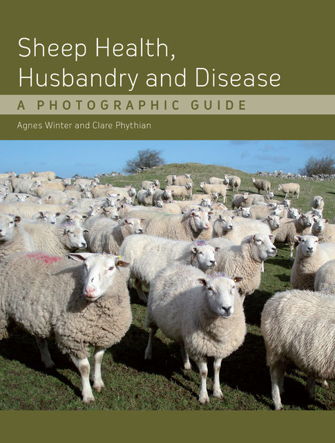 Sheep Health, Husbandry and Disease, Agnes C Winter, Clare Phythian