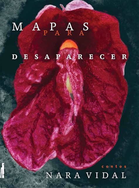 Mapas para desaparecer, Nara Vidal