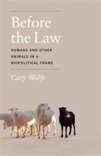 Before the Law, Cary Wolfe