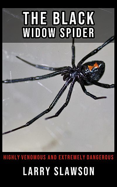 The Black Widow Spider, Larry Slawson