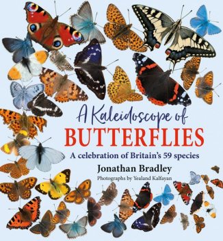 A Kaleidoscope of Butterflies, Jonathan Bradley