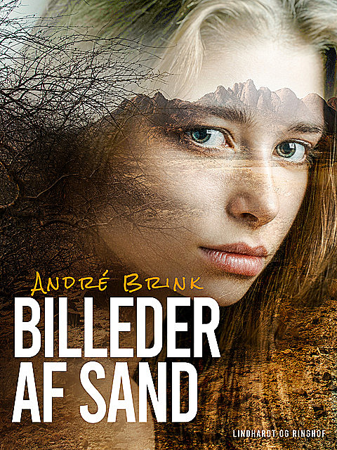 Billeder af sand, Andre Brink