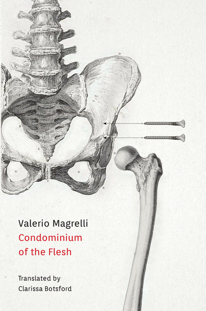 Condominium of the Flesh, Valerio Magrelli