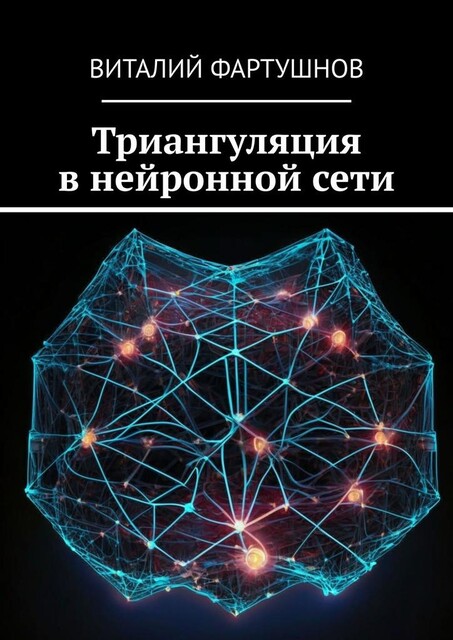 Триангуляция в нейронной сети, Виталий Фартушнов