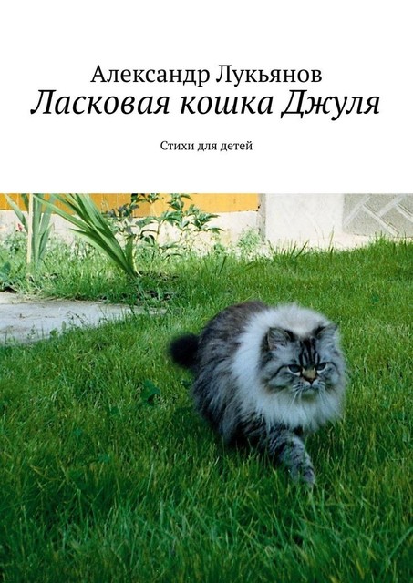 Ласковая кошка Джуля, Александр Лукьянов