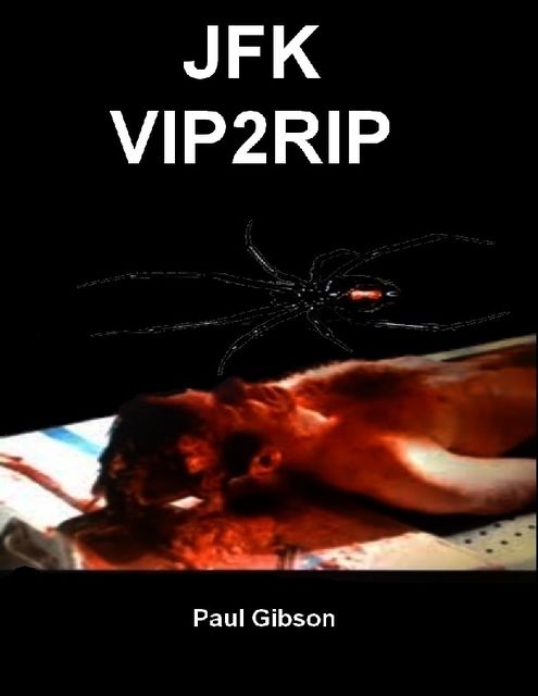 JFK VIP2RIP, Paul Gibson