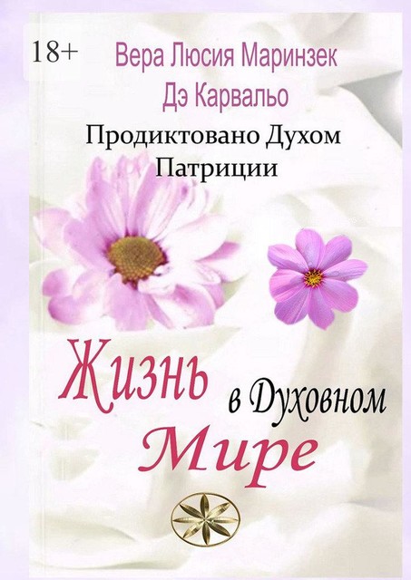 Жизнь в Духовном Мире. Продиктовано Духом Патриции, Вера Люсия Маринзек Дэ Карвальо