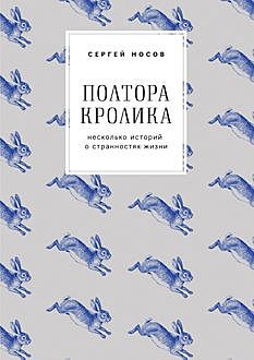 Полтора кролика (сборник), Сергей Носов