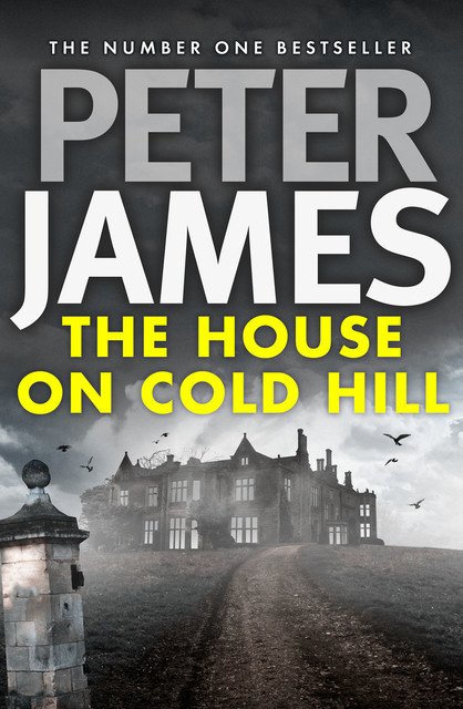 The House on Cold Hill, Peter James