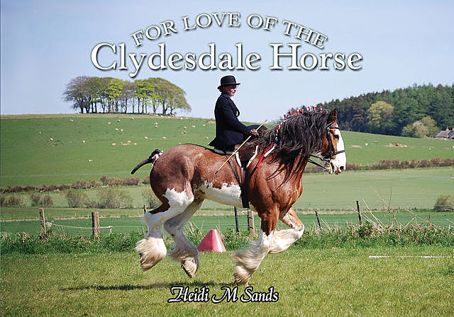 For Love of the Clydesdale Horse, Heidi M. Sands