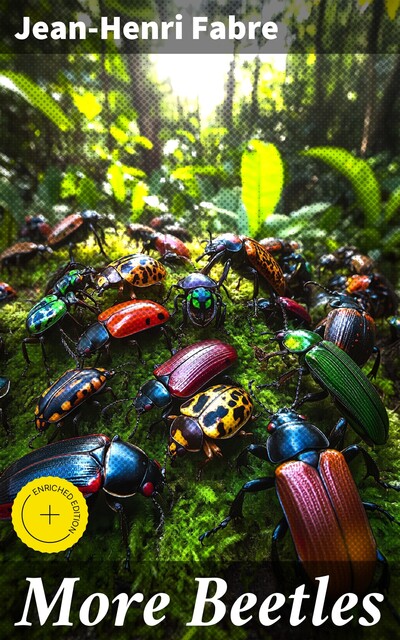More Beetles, Jean-Henri Fabre