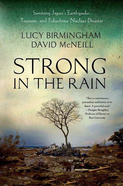 Strong in the Rain, David McNeill, Lucy Birmingham