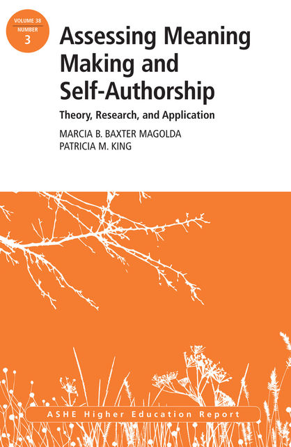 Assessing Meaning Making and Self-Authorship: Theory, Research, and Application, Patricia King