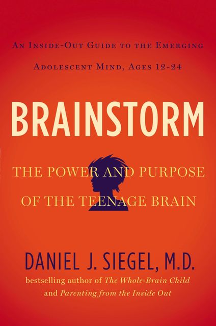 Brainstorm, Daniel Siegel