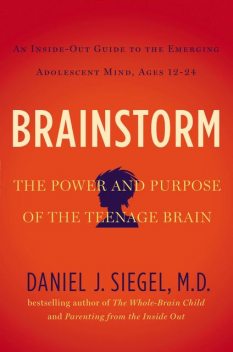 Brainstorm, Daniel Siegel