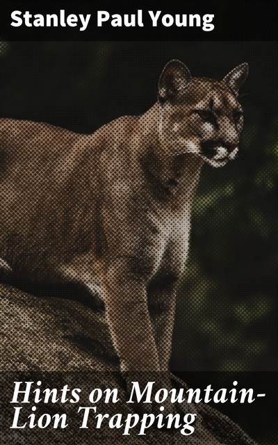 Hints on Mountain-Lion Trapping, Stanley Paul Young