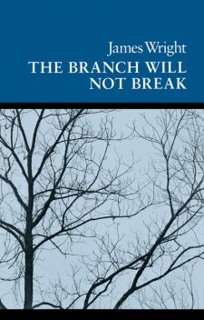 The Branch Will Not Break, James Wright