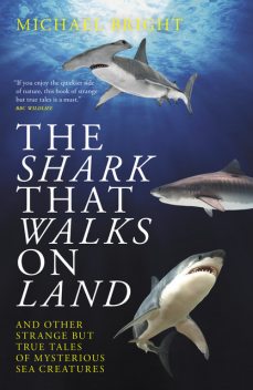 The Shark that Walks on Land, Michael Bright
