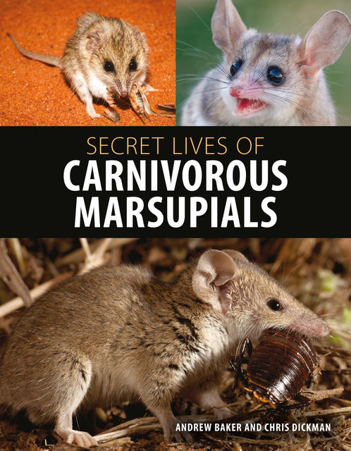 Secret Lives of Carnivorous Marsupials, Andrew Baker, Chris Dickman