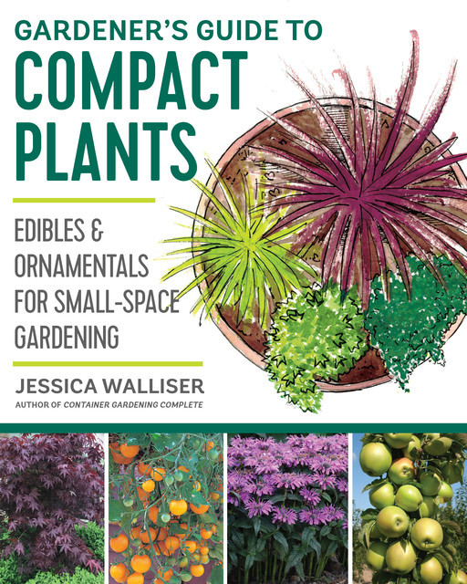 Gardener's Guide to Compact Plants, Jessica Walliser
