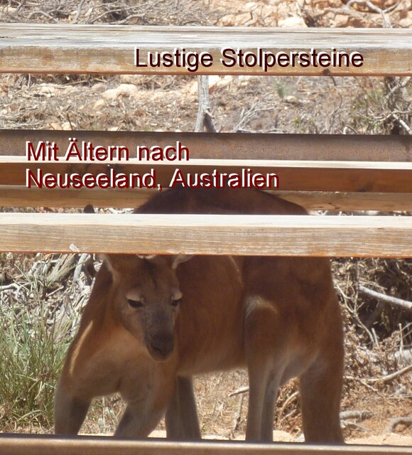 Lustige Stolpersteine, Christine Pfeiffer