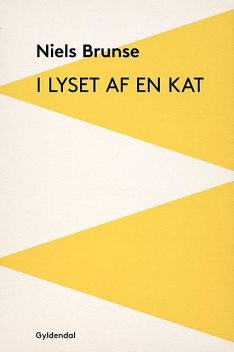 I lyset af en kat, Niels Brunse