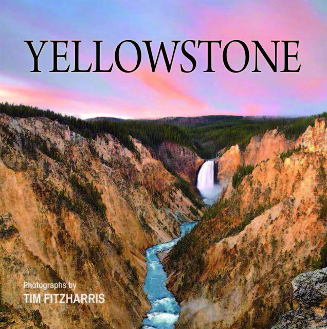 Yellowstone, Tracy C.Read