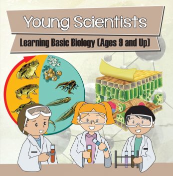 Young Scientists: Learning Basic Biology (Ages 9 and Up), Baby Professor