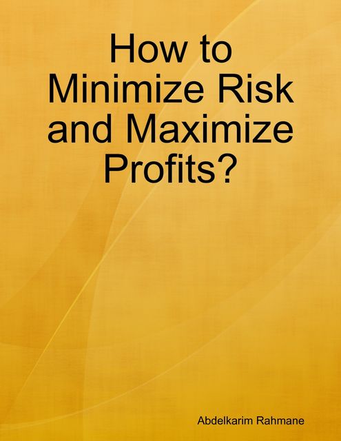 How to Minimize Risk and Maximize Profits, Abdelkarim Rahmane