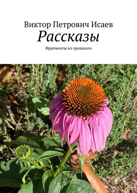 Рассказы. Фрагменты из прошлого, Виктор Исаев