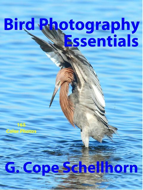 Bird Photography Essentials, G.Cope Schellhorn