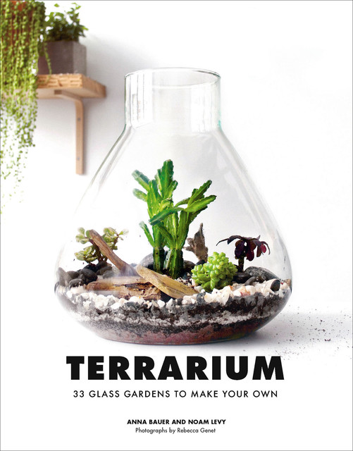 Terrarium, Anna Bauer, Noam Levy